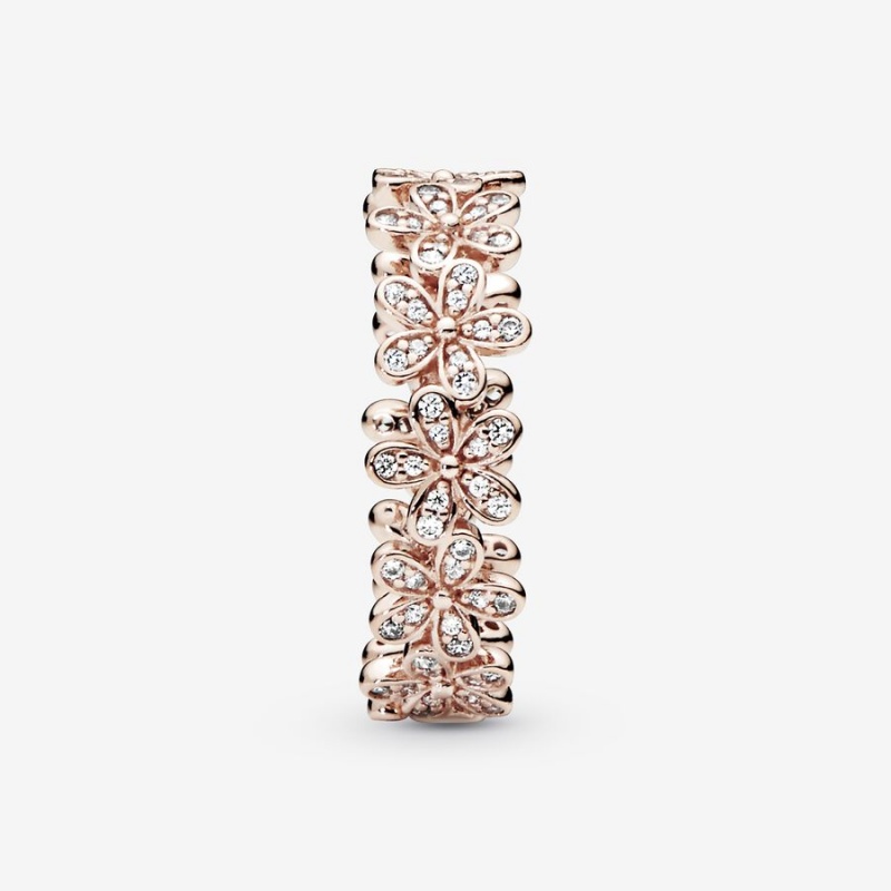 Pandora Daisy Flower Band Rings Rose Gold Plated | 3048-VLSFW