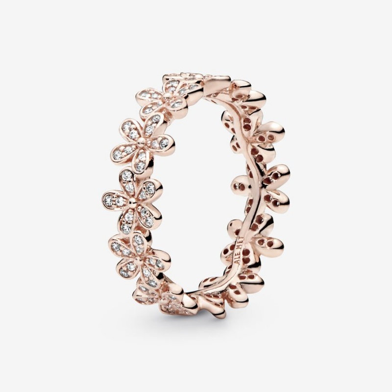 Pandora Daisy Flower Band Rings Rose Gold Plated | 3048-VLSFW