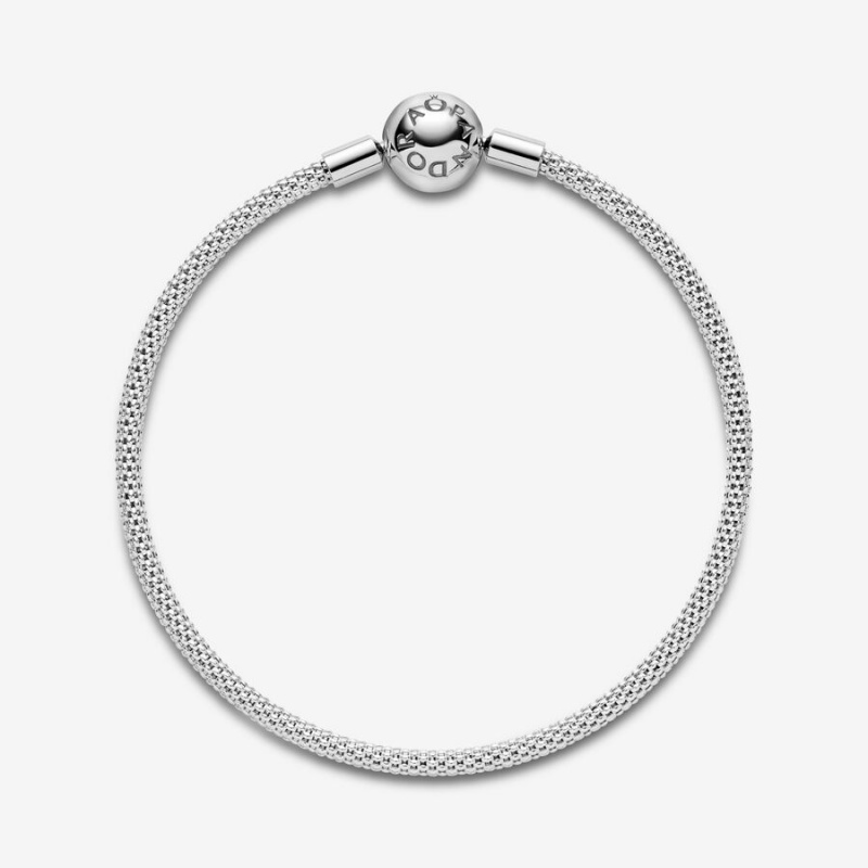 Pandora Moments Mesh Charm Bracelets Sterling Silver | 9108-OIYMN