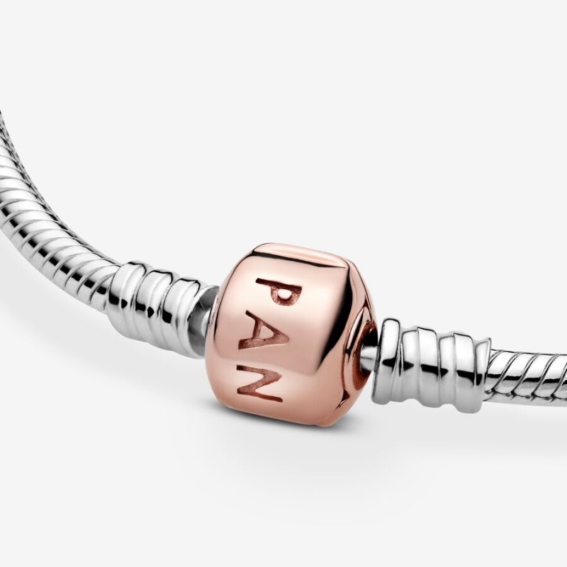 Pandora Moments Snake Chain Bracelets Two-tone | 3691-IQCLF