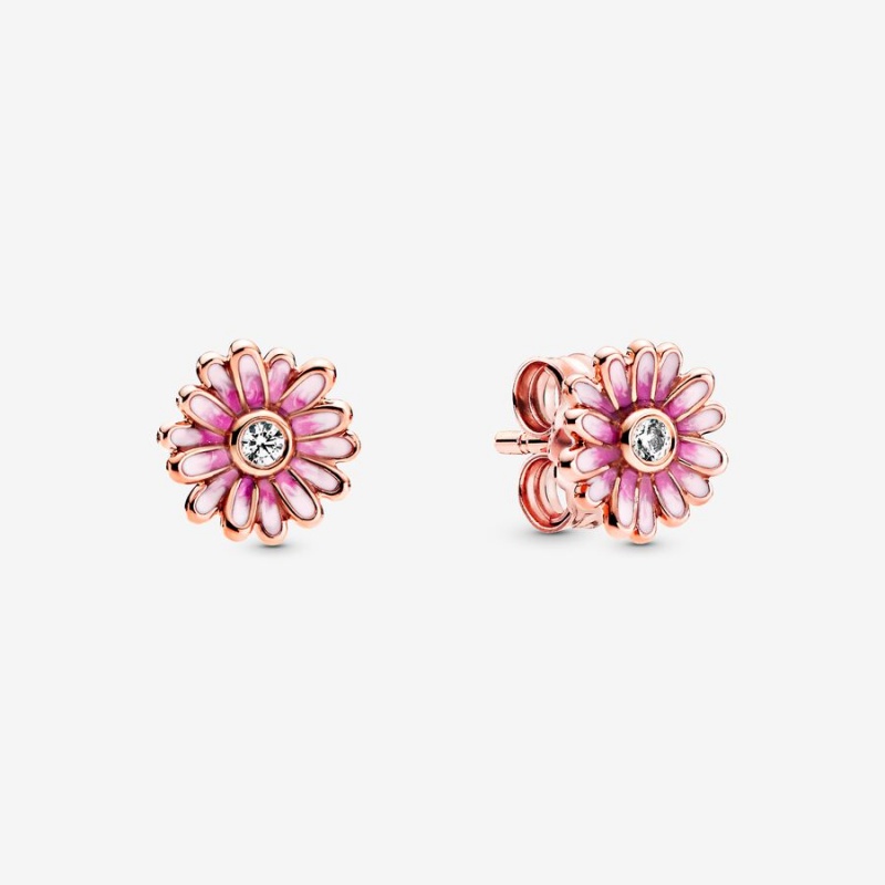 Pandora Pink Daisy Flowers Stud Earrings Rose Gold Plated | 8591-QGEVK