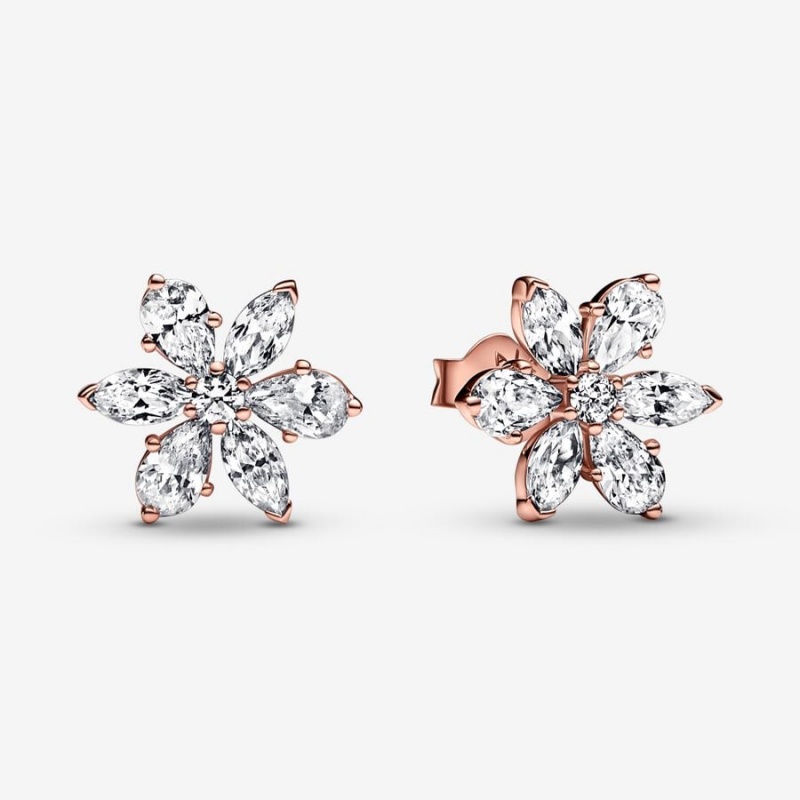 Pandora Sparkling Herbarium Clusters Stud Earrings Rose Gold Plated | 0374-ENYTA