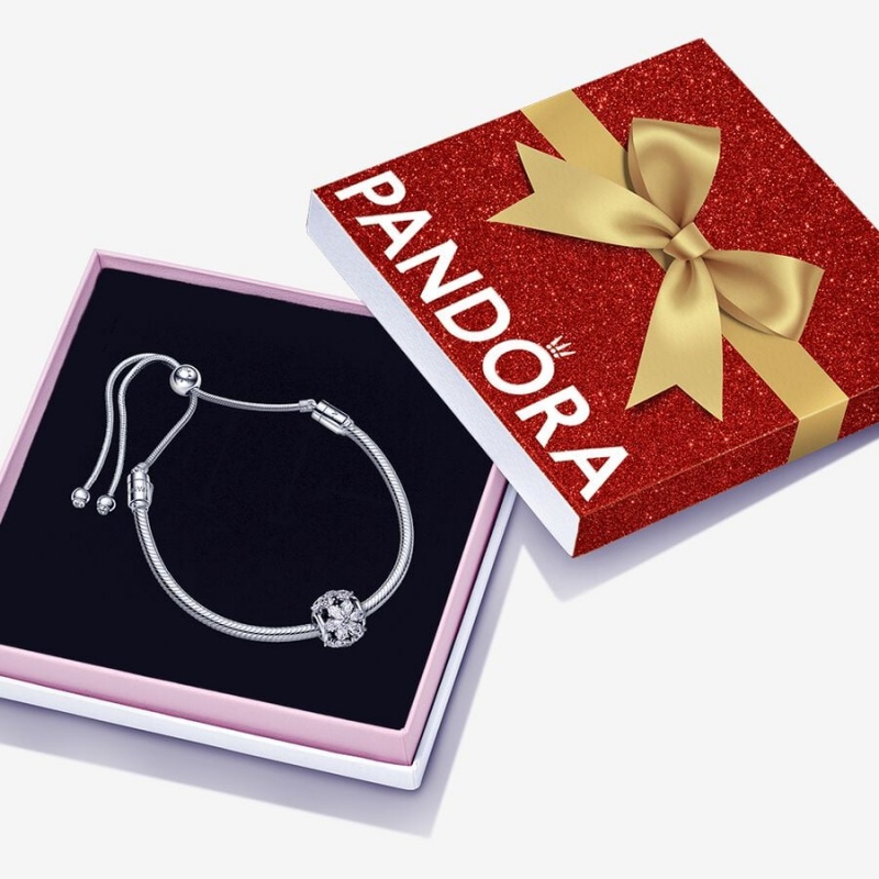 Pandora Sparkling Herbarium Gift Set Charm Bracelets Sterling Silver | 0623-LHXOJ